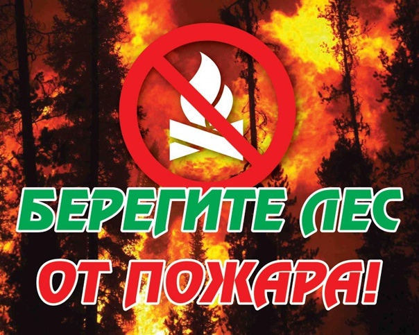 Профилактика лесных пожаров.